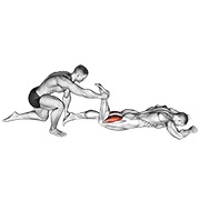 辅助俯卧腘绳肌拉伸